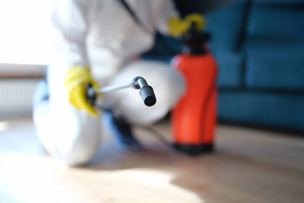 Best Mold Removal for HVAC Installations  in Madill, OK