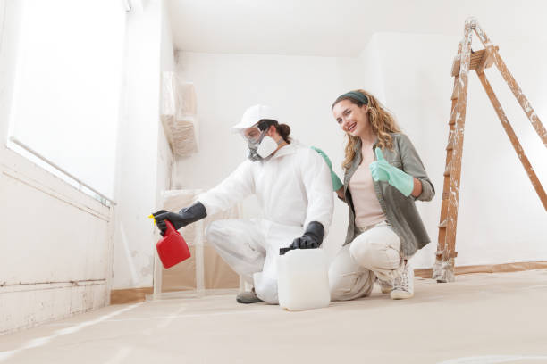  Madill, OK Mold Removal Pros